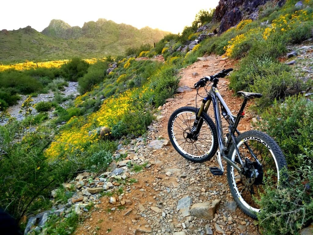 Phoenix Mountain Preserve